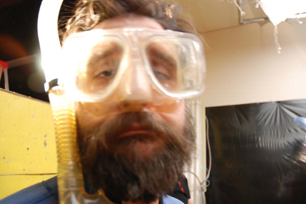 'Honey Honey' Video Release