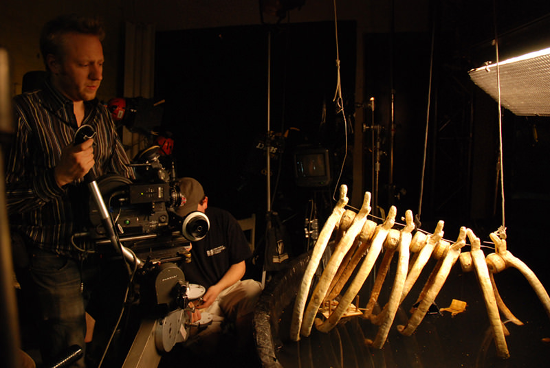 'Honey Honey' Video Release