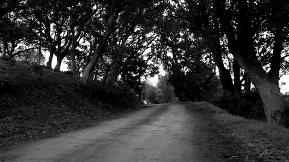 The Making of Metals